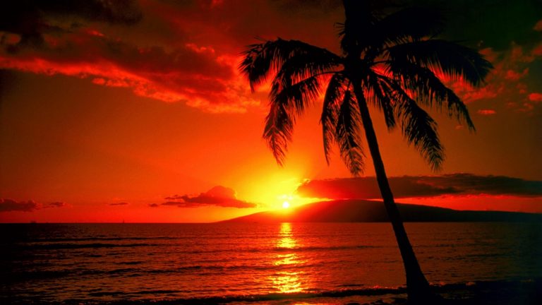 Take A Trip To Hawaii